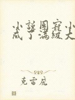 小说团宠小可爱成了满级大佬