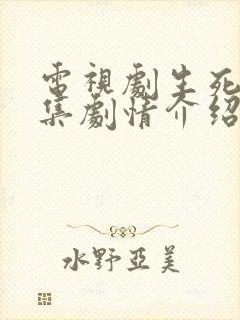 电视剧生死连分集剧情介绍