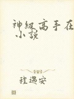 神级高手在都市 小说