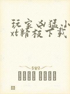 玩家凶猛小说txt精校下载