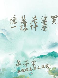 亿万老婆买一送一讲什么