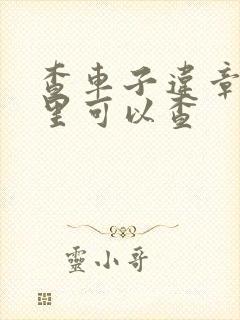 查车子违章在哪里可以查