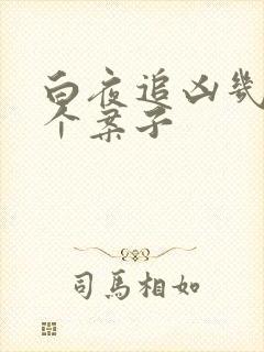 白夜追凶几集一个案子