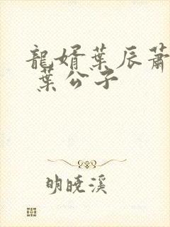 龙婿叶辰萧初然 叶公子