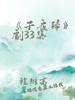 《子夜归》电视剧33集