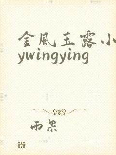 金风玉露小说bywingying