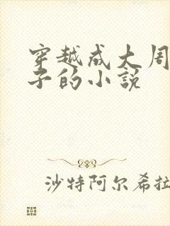 穿越成大周六皇子的小说