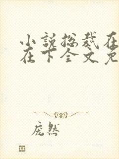 小说总裁在上我在下全文免费阅读