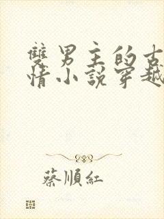 双男主的古代言情小说穿越