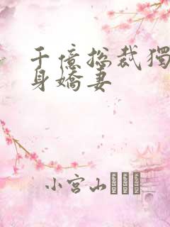 千亿总裁独宠替身娇妻