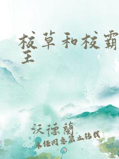 校草和校霸双男主