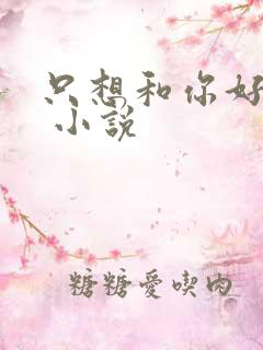 只想和你好好的 小说