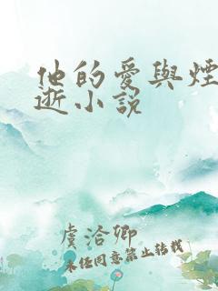 他的爱与烟火同逝小说