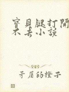 宝贝腿打开我进不去小说