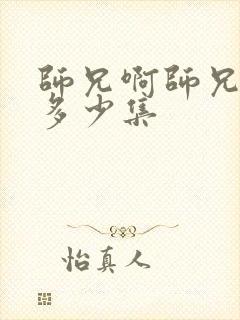 师兄啊师兄总共多少集