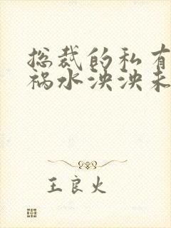 总裁的私有宝贝祸水泱泱未删减版