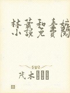林萧和秦婉秋的小说免费阅读