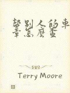 帮别人的车查违章怎么查