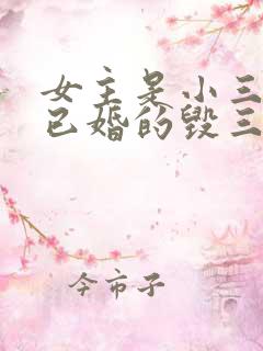 女主是小三男主已婚的毁三观小说