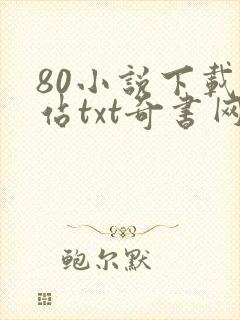 80小说下载网站txt奇书网