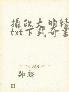 摄政大明精校版txt下载奇书