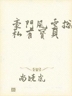 豪门风云总裁的私有宝贝