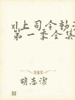 xl上司令动漫第一季全集在线观看免费播放