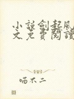 小说剑起风云全文免费阅读