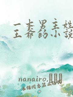 一本男主姓萧是王爷的小说