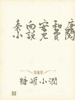 秦向安和唐婉琴小说免费阅读无弹窗