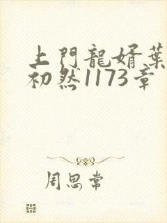 上门龙婿叶辰萧初然1173章