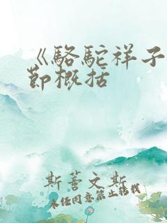 《骆驼祥子》章节概括