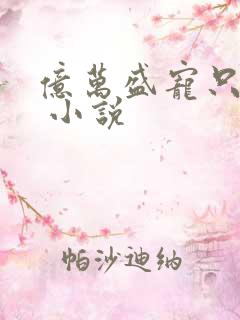 亿万盛宠只为你 小说