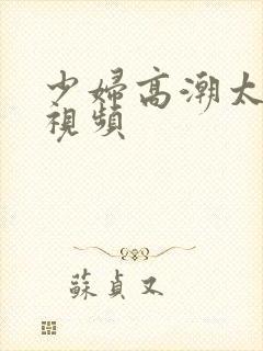 少妇高潮太爽了视频