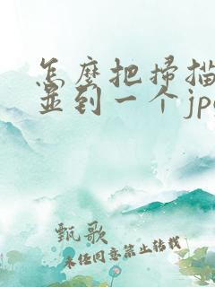 怎么把扫描件合并到一个jpg