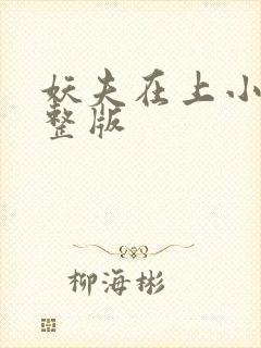 妖夫在上小说完整版