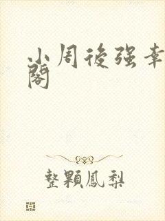 小周后强幸笔趣阁