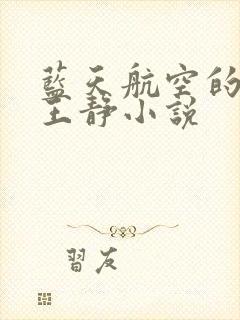 蓝天航空的空姐王静小说