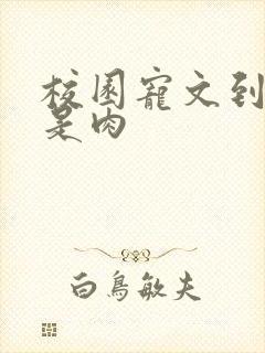 校园宠文到处都是肉