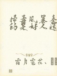 扫毒风暴秦昊演的是好人还是坏人