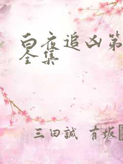 白夜追凶第二季全集