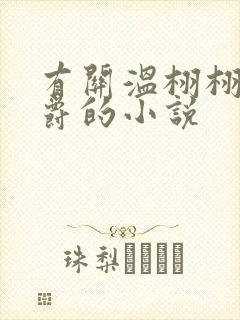 有关温栩栩霍司爵的小说