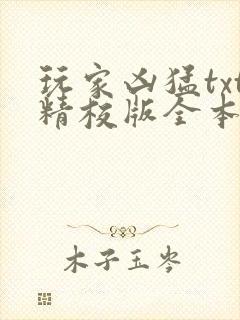 玩家凶猛txt精校版全本下载