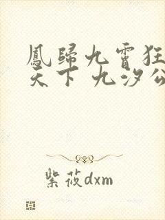 凤归九霄狂妃逆天下 九汐公子