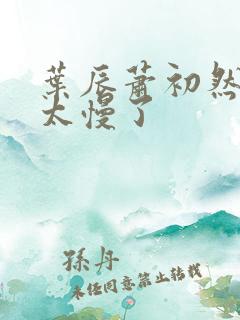 叶辰萧初然更新太慢了