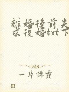 离婚后前夫哭着求复婚txt下载完本