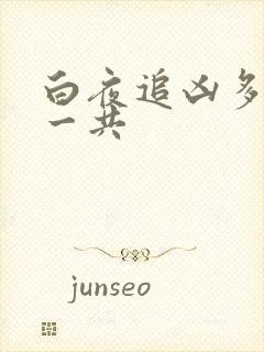 白夜追凶多少集一共