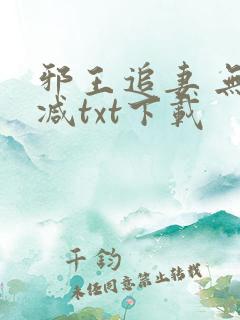 邪王追妻 无删减txt下载