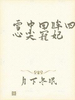 雪中回眸四爷的心尖宠妃