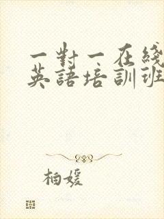 一对一在线外教英语培训班哪个好